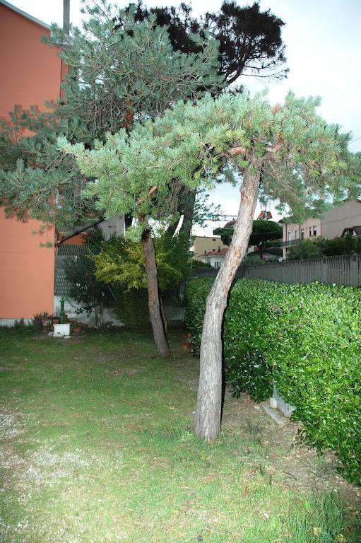 Villa Linda Affittacamere Bellaria-Igea Marina Exterior foto